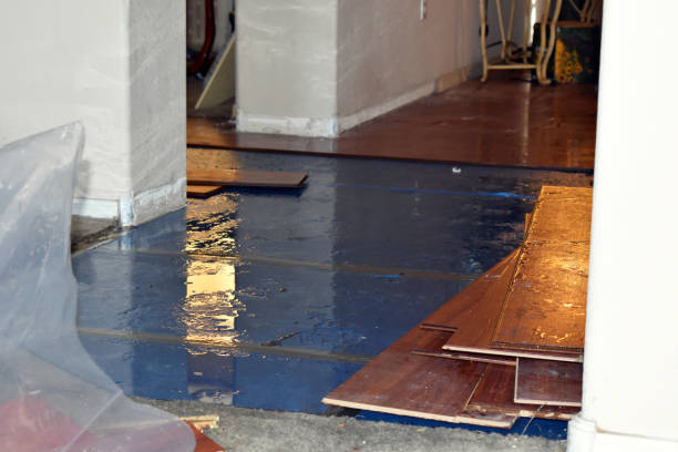 Professional Sewage Cleanup technician working in Caseville, MI